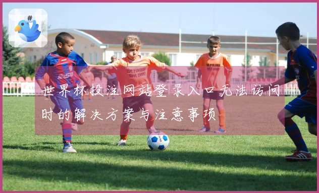 世界杯投注网站登录入口无法访问时的解决方案与注意事项